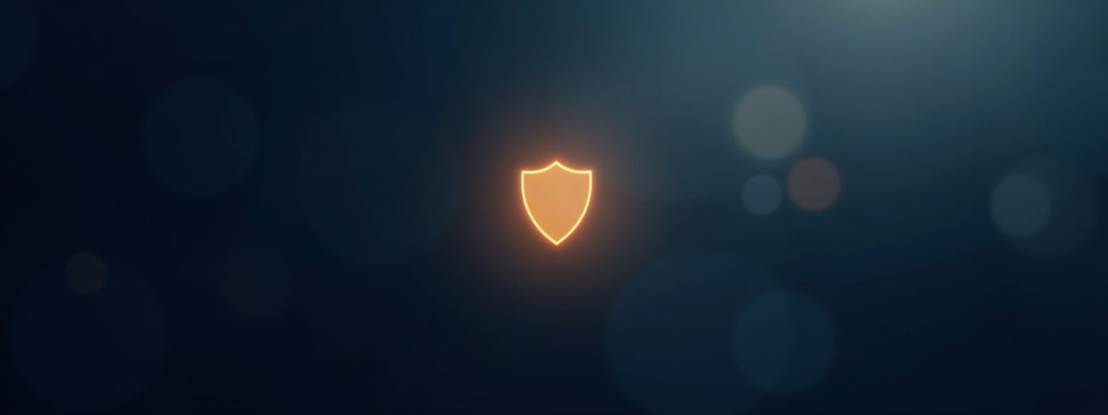 Protección y seguridad — Seguros San Vicente